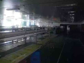 又一家電子廠突然倒閉 廠內(nèi)值錢設(shè)備均被搬走 日大家電零售受沖擊